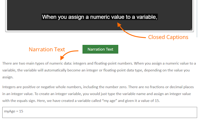 Video captions and narration text