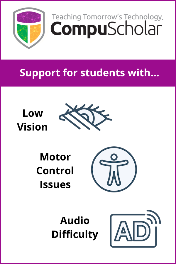Accessibility of Online Curriculum