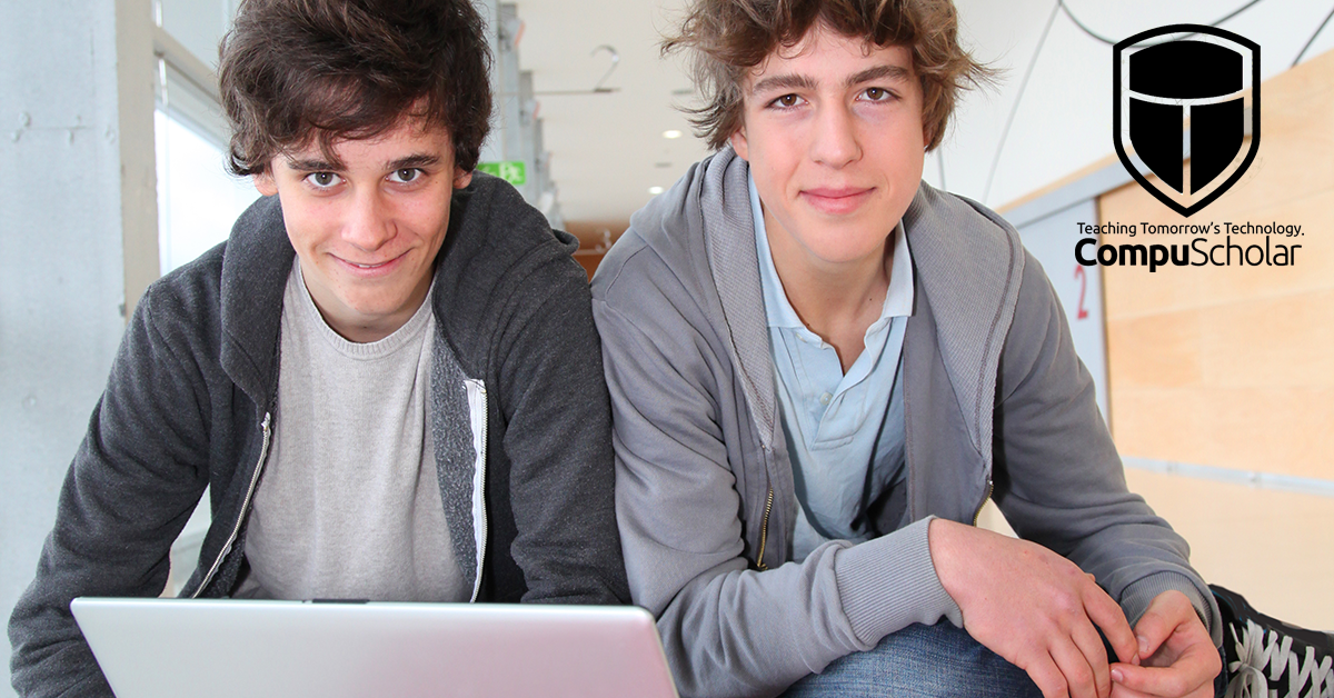 Foreign Languages and Programming Languages: What Do They Have in