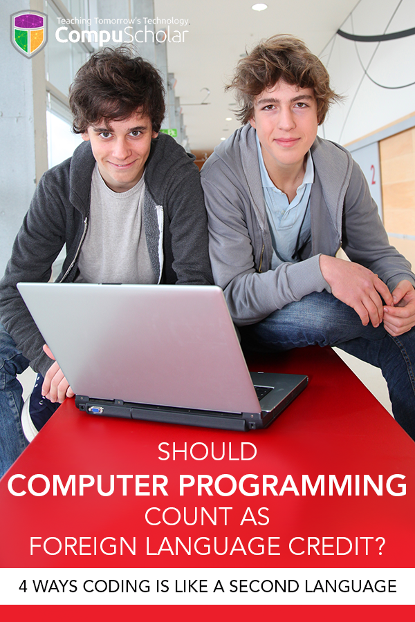 Foreign Languages and Programming Languages: What Do They Have in